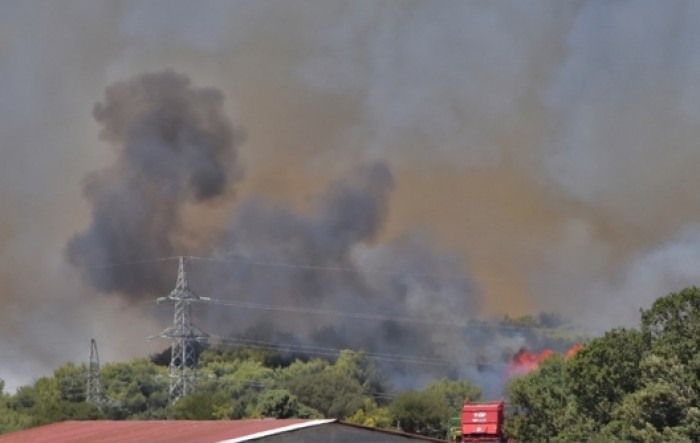 Požar u Puli u potpunosti pod nadzorom, izgorjelo oko 40 hektara