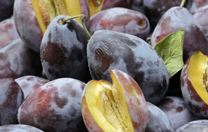 AZTN kaznio Moslavinu voće zbog nepravilnosti u otkupu šljiva