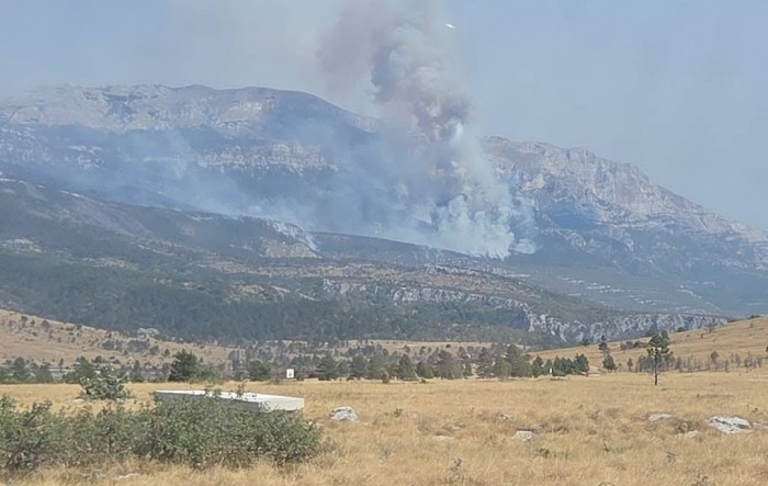 Preokret u istrazi: Četvorka palila na deset lokacija, među njima Poljakinja. Bili su naoružani