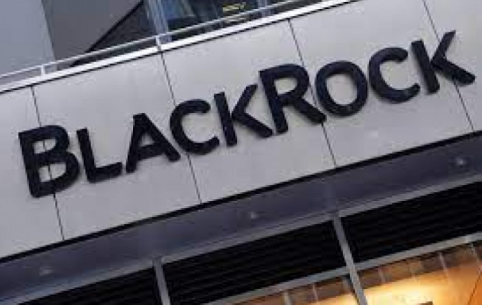 BlackRock: Globalna energetska tranzicija zahtijevat će 4 trilijuna dolara godišnje