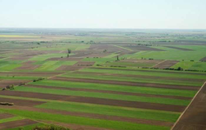 Evo što donosi najveću zaradu u srpskoj poljoprivredi