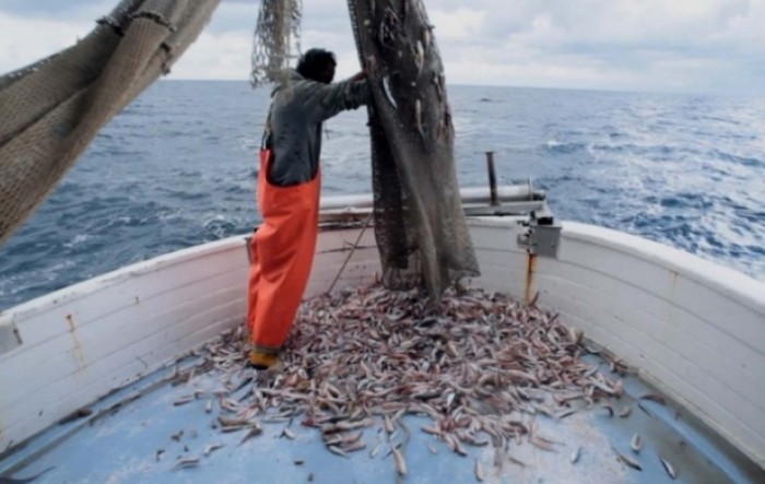 WWF: Gotovo polovica EU ribara zarađuje ispod minimalca