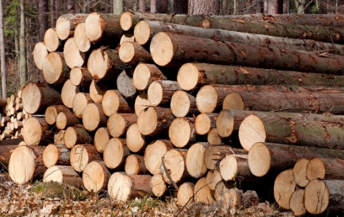 Proizvodnja drva lani povećana 0,2 posto, cijene skočile za 13,1 posto