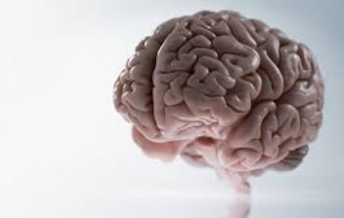 Mozak modernog čovjeka razvio se kasnije nego što se misli