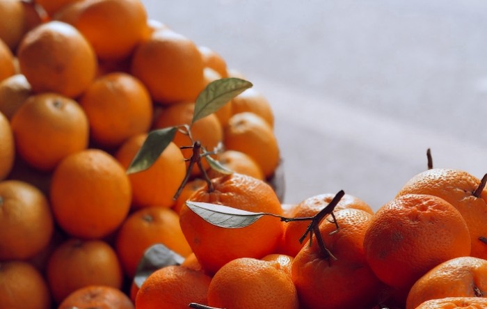 Srbija uništila mandarine iz Hrvatske