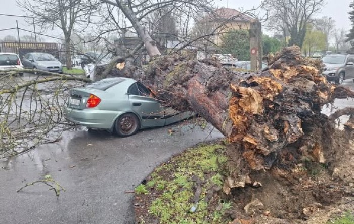 Kaos u Zagrebu, stabla padaju na automobile, vjetar ruši sve pred sobom