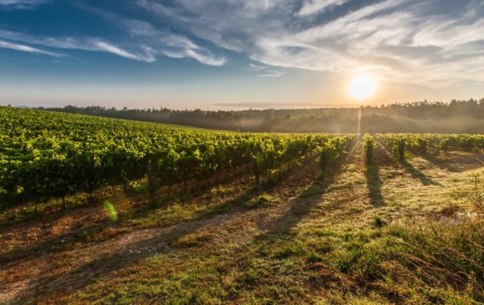 Slovenska vinska regija na europskom vrhu