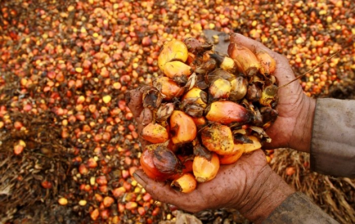Indonezija angažirala mornaricu u blokadi izvoza palminog ulja