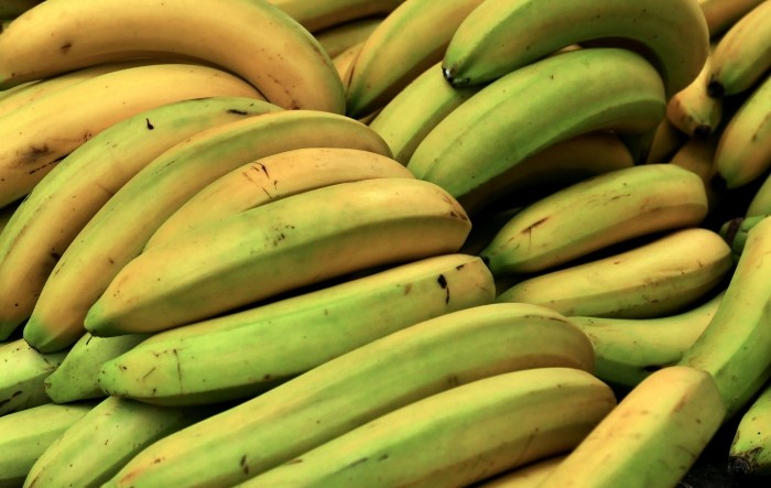 Cijena banana ne pokriva troškove uzgoja