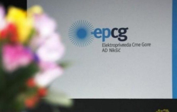 Rovčanin: EPCG će nastojati da ne dođe do poskupljenja struje