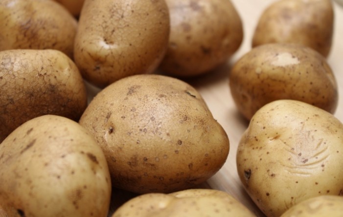 Velika prilika za hrvatske proizvođače industrijskog krumpira