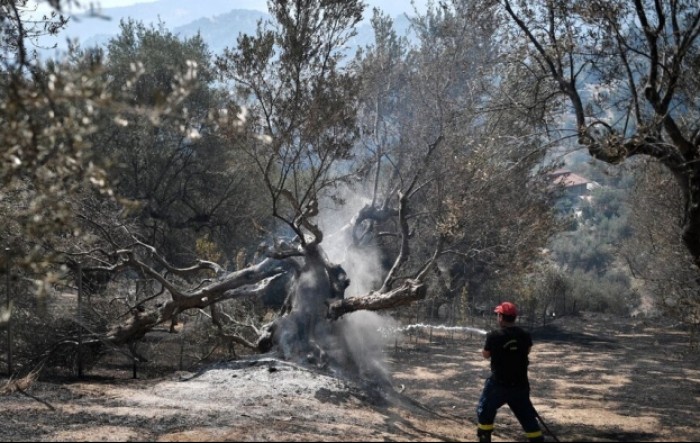 Grčki premijer se ispričao zbog požara i odobrio 500 milijuna eura pomoći