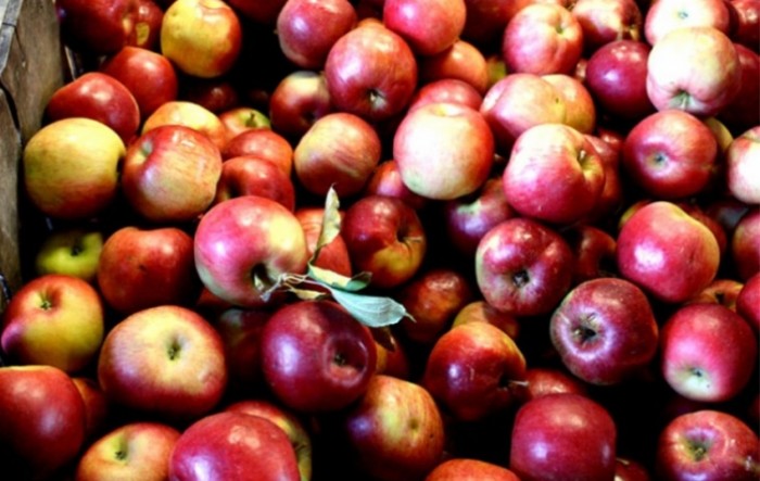 Smanjena proizvodnja domaćih jabuka, potencijal daleko od iskorištenog
