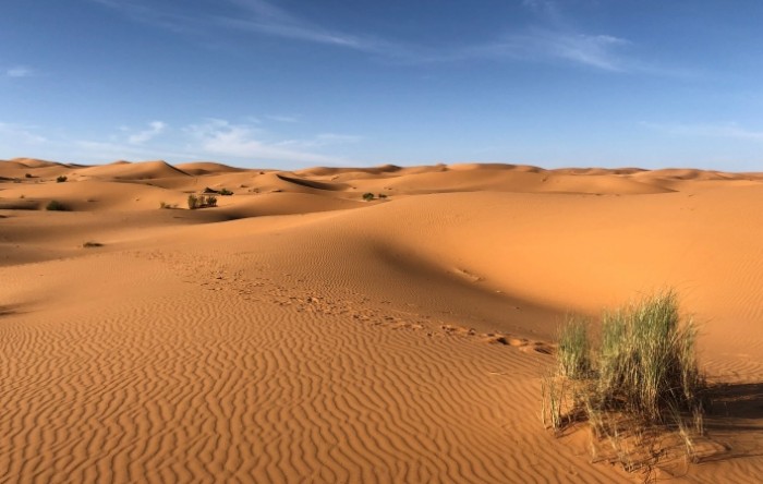 Alžir, Nigerija i Niger gradili bi plinovod preko Sahare za opskrbu Europe