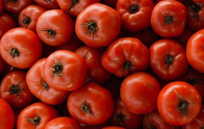 Krenuo izvoz rajčice iz Hercegovine preko Podravke do EU