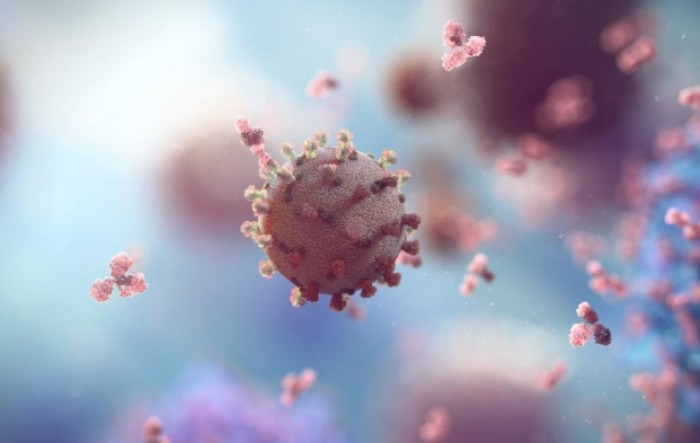 WHO: Virus vjerojatno prešao na ljude sa šišmiša preko neke životinje