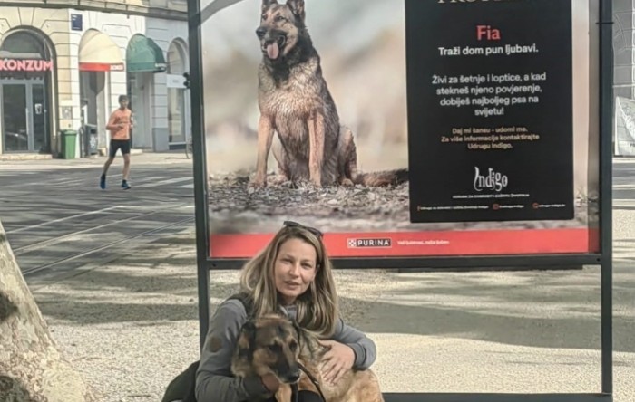 Još stignete upoznati svog ljubimca – na Zrinjevcu izložba pasa koji traže dom