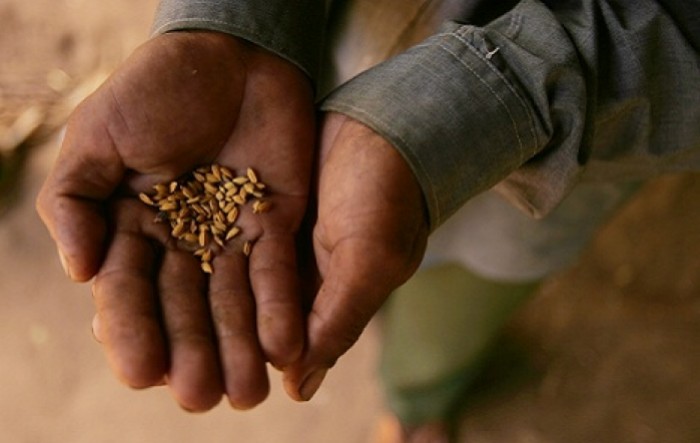 FAO: Cijene hrane u lipnju porasle prvi put u ovoj godini