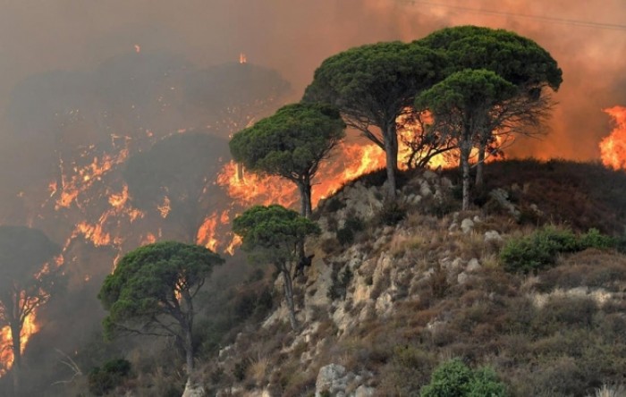 Požari i dalje gore na Siciliji i u Kalabriji, Grčkoj pomogla kiša