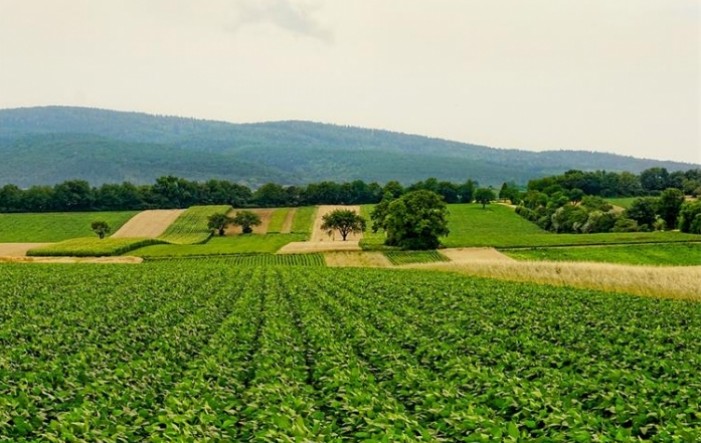 Hoće li hrvatska poljoprivreda profitirati u koronakrizi?