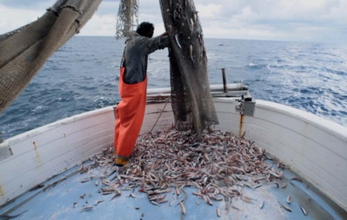 Smanjen ulov i uzgoj morske ribe u 2019.