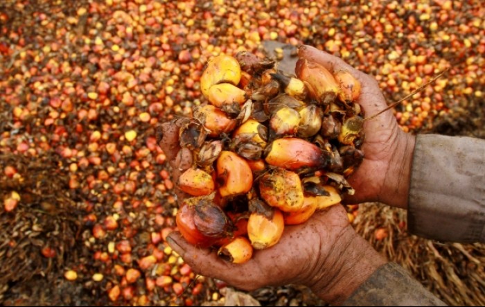 Indonezija od ponedjeljak ukida zabranu izvoza palminog ulja