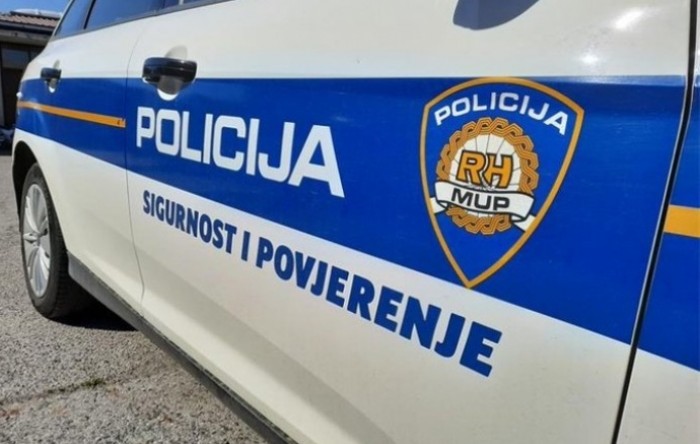 Policija tužila Hrvatske autoceste jer je policajka naletjela na jazavca