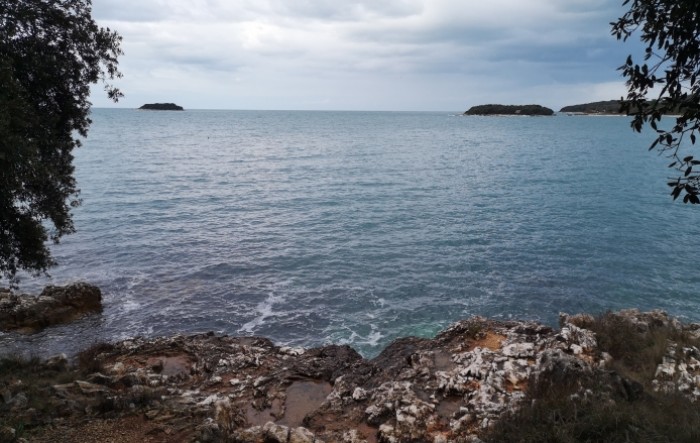 U sjeverni Jadran kroz otpadne vode brodova stigli rebraši, štetni i za ribu i za turizam
