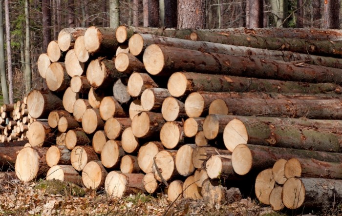 Neostvareni potencijal izvoza drvnog sektora više od 2,3 milijarde kuna