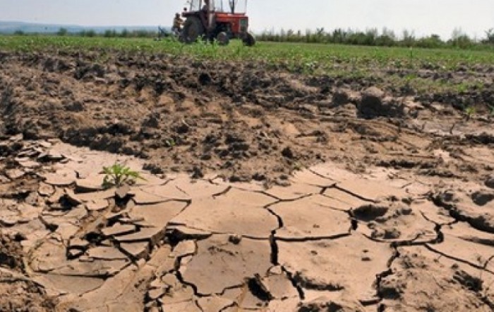 ﻿ Poljoprivredna komora pozvala županije da proglase prirodne nepogode od suše