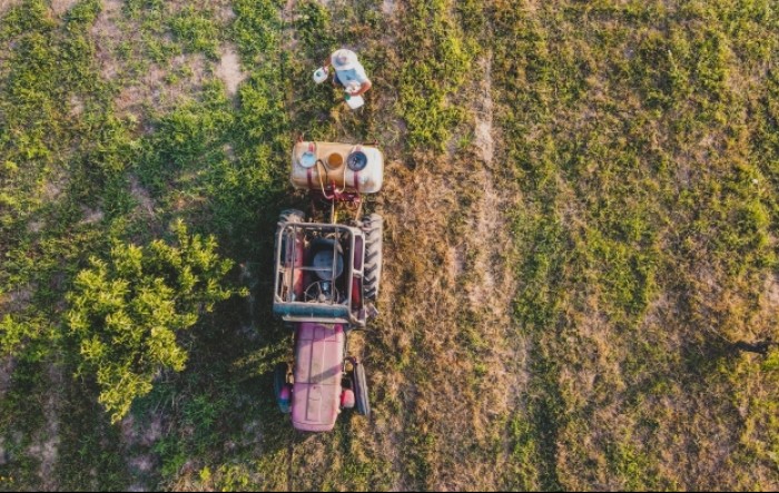 Suša naškodila urodu soje u Argentini