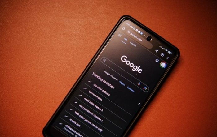 Google i dalje dominira pretraživanjem interneta