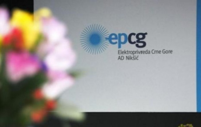 Noveljić: EPCG u posljednje tri godine ostvarila neto dobit od oko 100 miliona eura