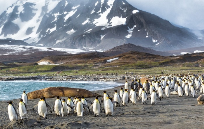 Opsesija Argentine Falklandskim otocima ne jenjava ni 40 godina nakon rata