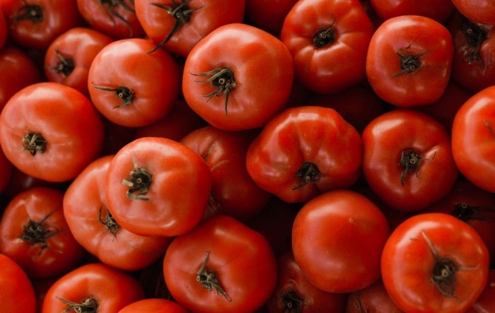 Podravka sljedeće godine u Umagu otvara novu otkupnu stanicu, povećat će otkup rajčica