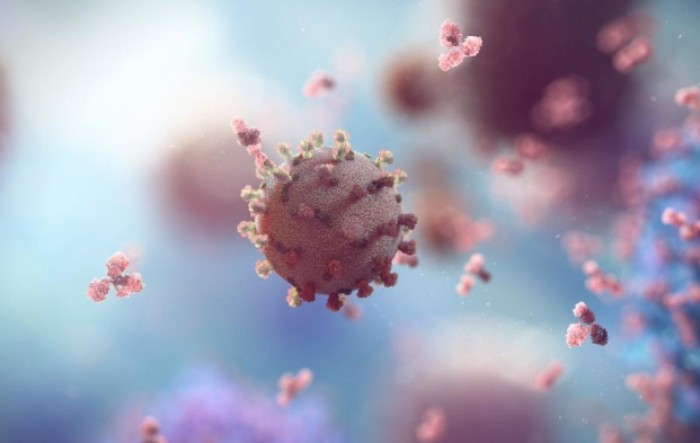 U malezijskih pacijenata otkriven novi koronavirus koji je na čovjeka prešao s psa