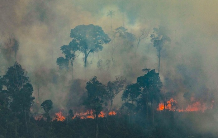 Brazilska Amazona doživljava najgore šumske požare od 2007.