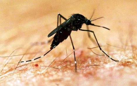 Prvo zaprašivanje komaraca u Bosanskoj Posavini potpuni promašaj
