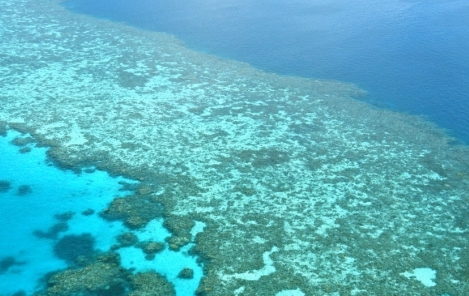 Za spas Velikog koraljnog grebena potrebno 6,5 milijardi eura