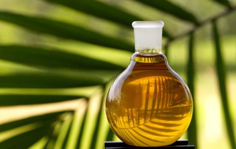 Proizvodnja palmina ulja ugrožava prašume